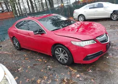 19UUB1F51HA002948: 43761671