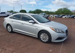 KMHE24L35HA066607: 43764539