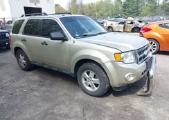 1FMCU9DG2BKA65478: 43765276