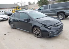 5YFP4MCEXMP084776: 43765441