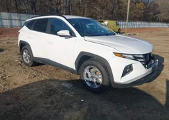 5NMJB3AE5PH199678: 43765557