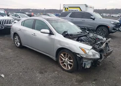 1N4AA5AP3AC871927: 43766229