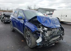 5NMJFCAE4PH246266: 43767742