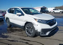 5J6RW1H57LL014082: 43767772