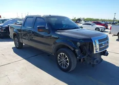 1FTFW1CVXAFB86506: 43769165