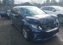 5FNRL6H77JB087384: 43769330