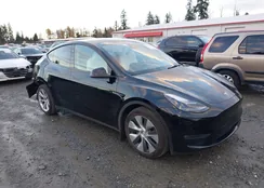 7SAYGAEE0PF811191: 43771177