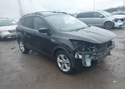 1FMCU0GX3DUA52172: 43772709