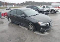 5NPD74LF3LH599763: 43775692