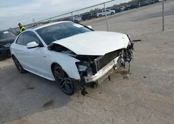 WAUC4AFR0GA007657: 43777645