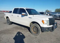 1FTFW1EF6BFB65451: 43777687