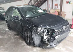 JTMB6RFV2SJ079392: 43783843