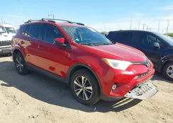 JTMWFREV4GJ071997: 43784755