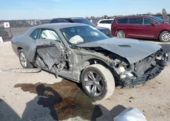 2C3CDZAG2KH593736: 43784921