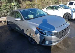 5NPLP4AG4PH119338: 43787385