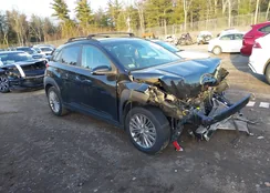 KM8K2CAA9MU607407: 43788828