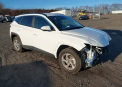 5NMJBCDE3RH316138: 43790001