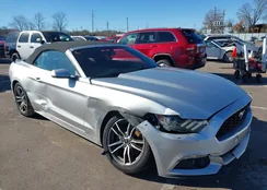 1FATP8UH4H5278315: 43792217