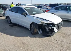 5NPEL4JA3MH066529: 43793379