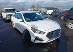 5NPE24AF6JH653964: 43793384