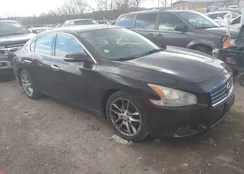 1N4AA5AP1BC810853: 43794311