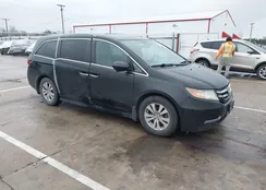 5FNRL5H60FB028749: 43795444