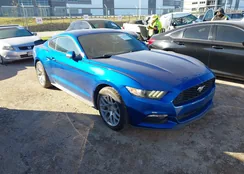 1FA6P8AM0H5263454: 43794822