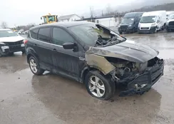 1FMCU9GX4EUC18351: 43794927