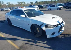 2C3CDXGJ2LH162306: 43795651