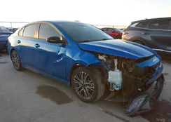 3KPF54AD0PE587046: 43799215