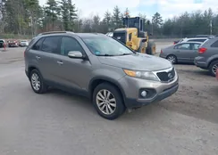 5XYKTDA21BG078341: 43800957