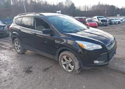 1FMCU9GX6DUB38211: 43801530