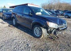 3C4PDDBG1JT197253: 43802109