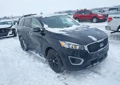 5XYPG4A34GG066856: 43802359