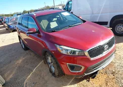 5XYPG4A5XHG239041: 43802493