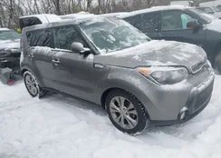 KNDJP3A56G7320968: 43803364