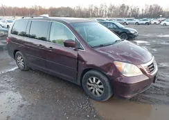 5FNRL3H68AB091787: 43802708