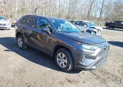 2T3F1RFV0NW313356: 43804293