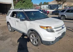 1FM5K8F83DGB31203: 43805261