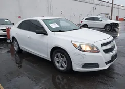 1G11B5SA7DF183166: 43804792