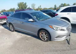 5NPE24AF0GH314433: 43806022