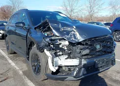 5J6RS6H81SL003810: 43805691