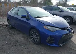 2T1BURHE5KC210345: 43807226