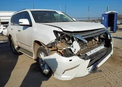 JTJBM7FXXJ5193849: 43808008