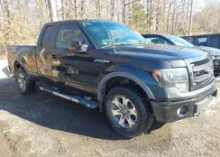 1FTFX1EF3EFB00638: 43807542