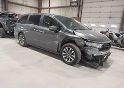 5FNRL6H69PB063667: 43809849