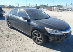 1HGCR2F32GA217037: 43812959