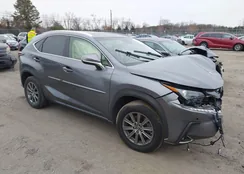 JTJBARBZ9J2177199: 43813544