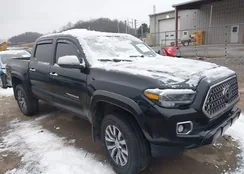 3TMGZ5AN8MM447089: 43813552