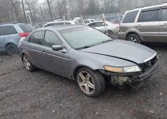 19UUA66285A056183: 43815100